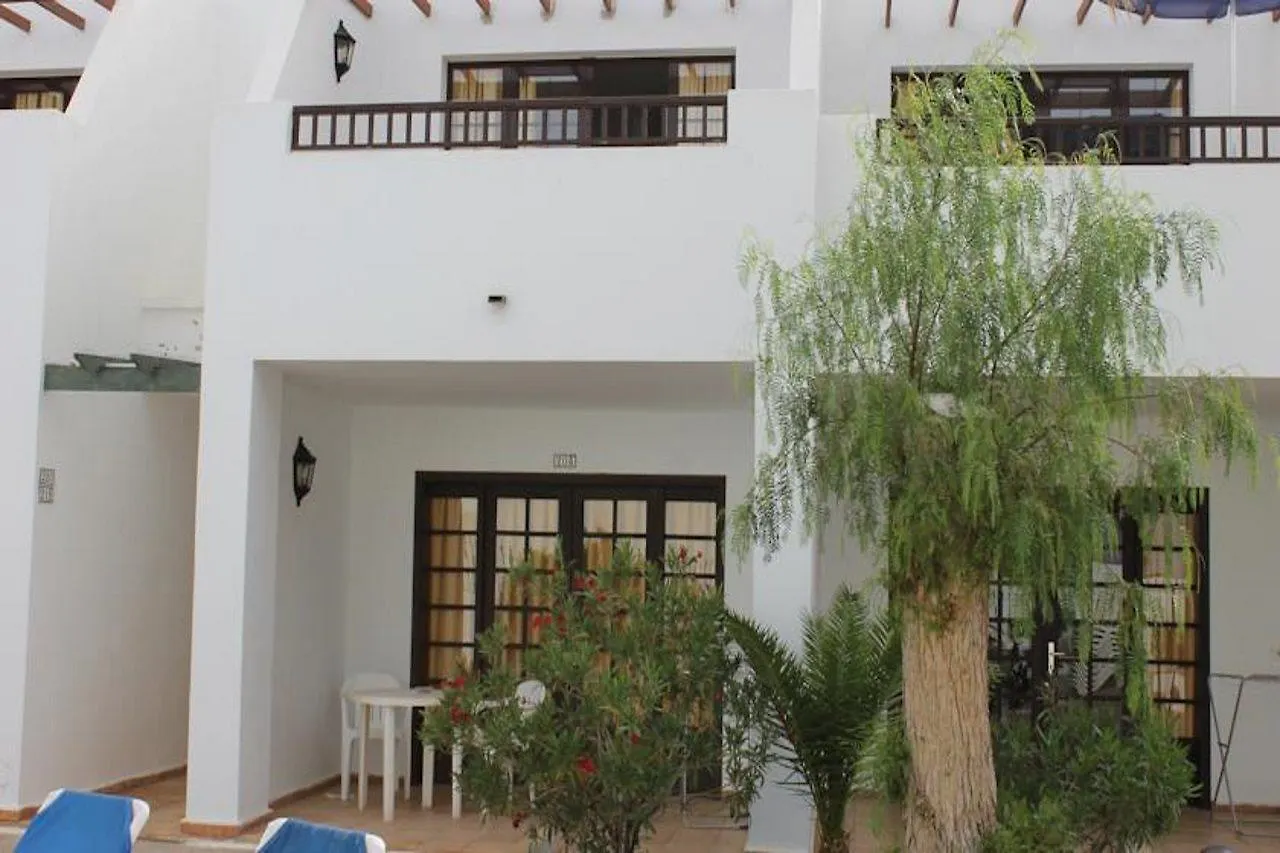 Apartamentos Flamingo Puerto del Carmen   Puerto del Carmen (Lanzarote)